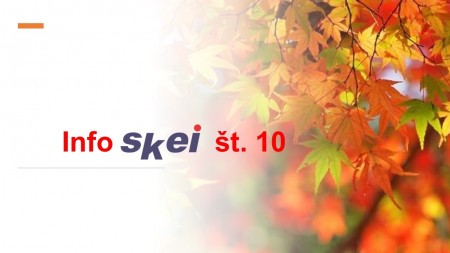 Info SKEI št. 10/2021