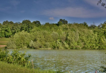 15. državno prvenstvo SKEI Slovenije v lovu rib s plovcem (memorial Franca Trbuca), 31.8.2024