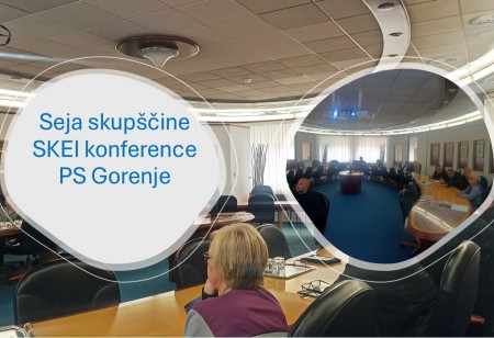 Seja skupščine SKEI konference PS Gorenje
